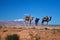 Landscape view of the Atlas mountains with Camels