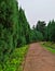 Landscape view of beautiful and clean gardens in Taman Saujana Hijau Putrajaya one of the famoust recreational park in Putrajaya