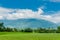 Landscape View Of Beautiful Rice Fields At Brown Avenue, Chishang, Taitung, Taiwan Ripe golden rice earï¼‰