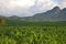 Landscape view of Blantyre, Malawi in Africa