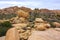 Landscape view of boulders, trees, cactuses from the hiking trail in Joshua Tree National Park, California, United States.