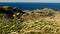 Landscape view of cap de creus rocky hills and flowers on a sunny summer day with wind blowing and nobody, along the spanish and