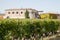 Landscape view on castle vineyards in Saint Emilion village near Bordeaux in France