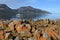 Landscape view of Coles Bay Tasmania Australia