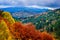 Landscape view of colorful autumn foliage forrest at cloudy day