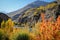 Landscape view of colorful trees in autumn against Hindu Kush mountain range