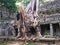 Landscape view of demolished stone architecture and aerial tree root at Preah Khan temple Angkor Wat complex, Siem Reap Cambodia.