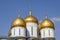 Landscape with view on domes of the cathedrals of the Moscow Kremlin.