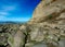 Landscape view end of Estero Trail in Point Reyes