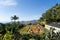 Landscape view of the famous colorful flowers carpet of the botanical garden, Funchal, Madeira, Portugal