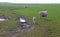 Landscape view of a feild of sheep and lambs in the Kent countryside w