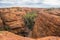 The landscape view of Garden of Eden in Kings canyon of the Northern Territory state, Australia.