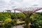 Landscape view of Gardens by the Bay park with Supertree Grove constructions and green trees and plants below, Singapore