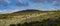 Landscape View of Giant Groundsel Dendrosenecio Kilimanjari at Kilimanjaro National Park, Tanzania