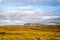 Landscape view with grass field in reykjavik, iceland. autumn landscape on cloudy sky. weather and climate. nature and