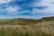 Landscape view of grass and sand dunes with an erosion prevention fence at St. Andrews beach in Scotland