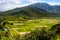 Landscape view of Hanalei valley and green taro fields, Kauai