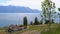 Landscape view House with Swiss Alps, lake Geneva and vineyard on Lavaux region, Canton Vaud, Switzerland