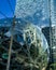 Landscape view of the iconic Amazon Spheres, three spherical conservatories comprising part of