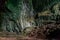 Landscape view Interior of the deer cave at Gunung Mulu national park. Sarawak.