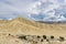 Landscape view of Kingdom of Lo Manthang with Green Tibetan Desert Background in Mustang of Nepal