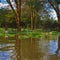 Landscape view or lake Naivasha