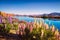 Landscape view of Lake Tekapo and flowers in dreamy style