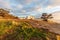 Landscape view of a large white caravan and modern 4WD vehicle free camp at sunrise next to the nearly dry salt Lake Norring which