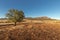 Landscape view in the late afternoon of the Southern Escarpment