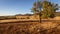 Landscape view in the late afternoon of the Southern Escarpment