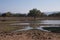 Landscape view of the Long Pool with wildlife and blue sky in Mana Pools, Zimbabwe