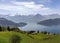 Landscape view of Lucern lake , Apls mountain with grass flower