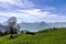 Landscape view of Lucern lake , Apls mountain with grass flower