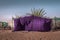 Landscape view of modern purple bedouin`s tent.