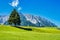 Landscape view near Lake Walchsee near Koessen in Tirol, Austria