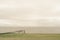 Landscape view of an old wharf from the grass to the lake