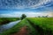 Landscape view of paddy fields,river with dramatic blue sky