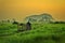 Landscape view of paddy fields,village,coconut tree,mountain during sunrise. An old man ride a motorcycle