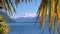 Landscape view through palm trees on Switzerland Snowy Alps by Lake. Montreux Embankment