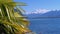 Landscape view through Palm Trees on Switzerland Snowy Alps by Lake. Montreux Embankment