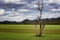 Landscape view in Rankin Bottoms, Newport, Tennessee, USA