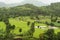 Landscape view of rice farming near Mulshi Dam, Pune