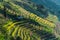 Landscape view of rice fields in Mu Cang Chai District, VIetnam