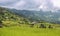 Landscape view of rice terraces in Kathmandu Valley, Nepal