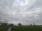 landscape view  ricefield on the morning