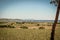 Landscape view in Saint-Tropez