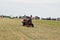 Landscape view of a small steam engine at the Wield of Kent steam Rally