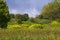 Landscape view of spring in the Golan Heights Israel