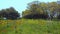 Landscape view of spring in the Golan Heights Israel