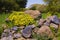 Landscape view of spring in the Golan Heights Israel